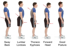 Important-Posture