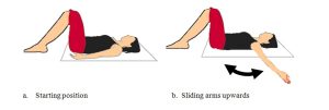 Chiropractic Posture Exercises