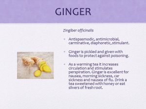 Ginger
