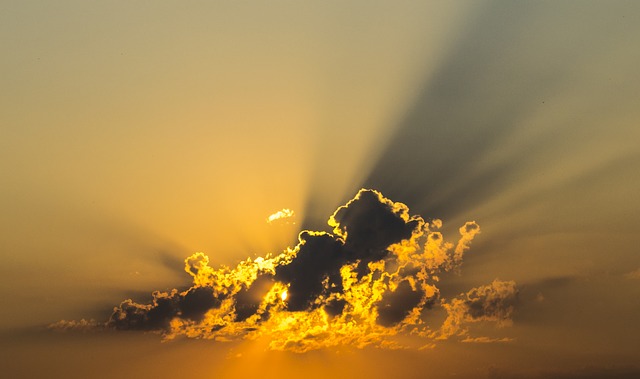 Is Vitamin D enough?