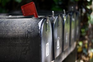 mailing list newsletter pic