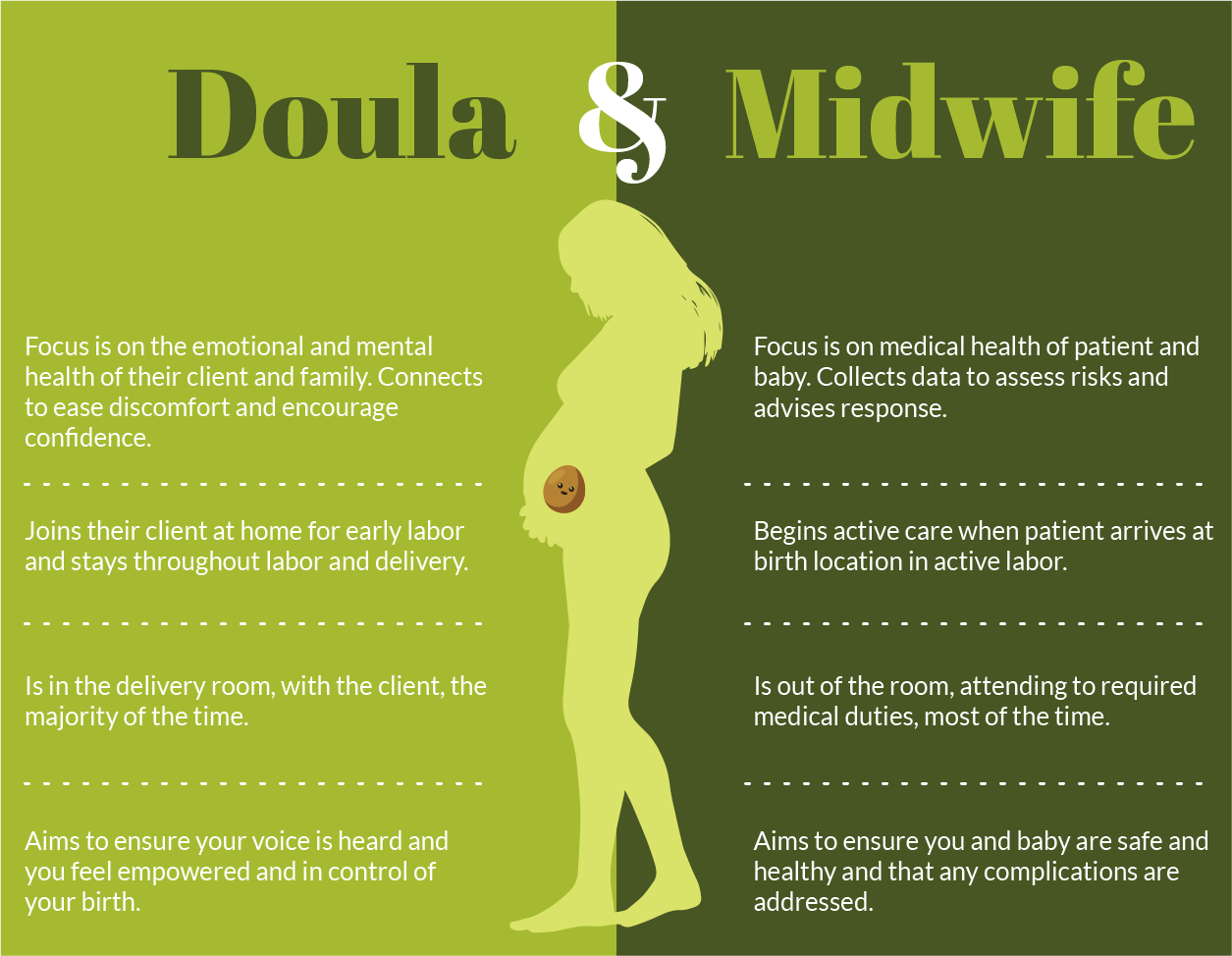 doula and midwife chart