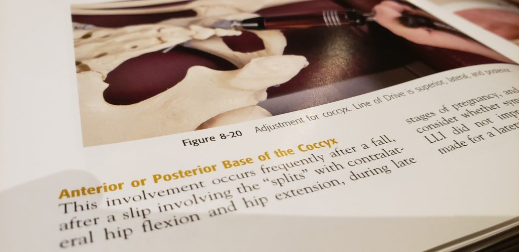 Activator Methods Textbook page of Anterior or Posterior base of the coccyx