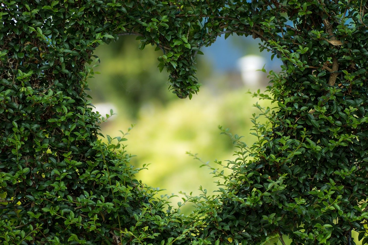 valentine's day heart in green