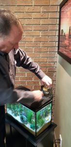 Dr. Ken Peever showing the filter system in his clean fish tank in Mississauga