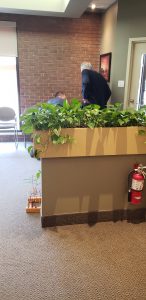 Dr. Ken Peever is discussing the Erin Mills Optimum Health fish tank in Mississauga