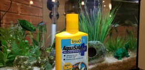 Aquasafe plus infront of our clean fish tank in our Mississauga chiropractic clinic