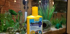 Aquasafe plus infront of our clean fish tank in our Mississauga chiropractic clinic