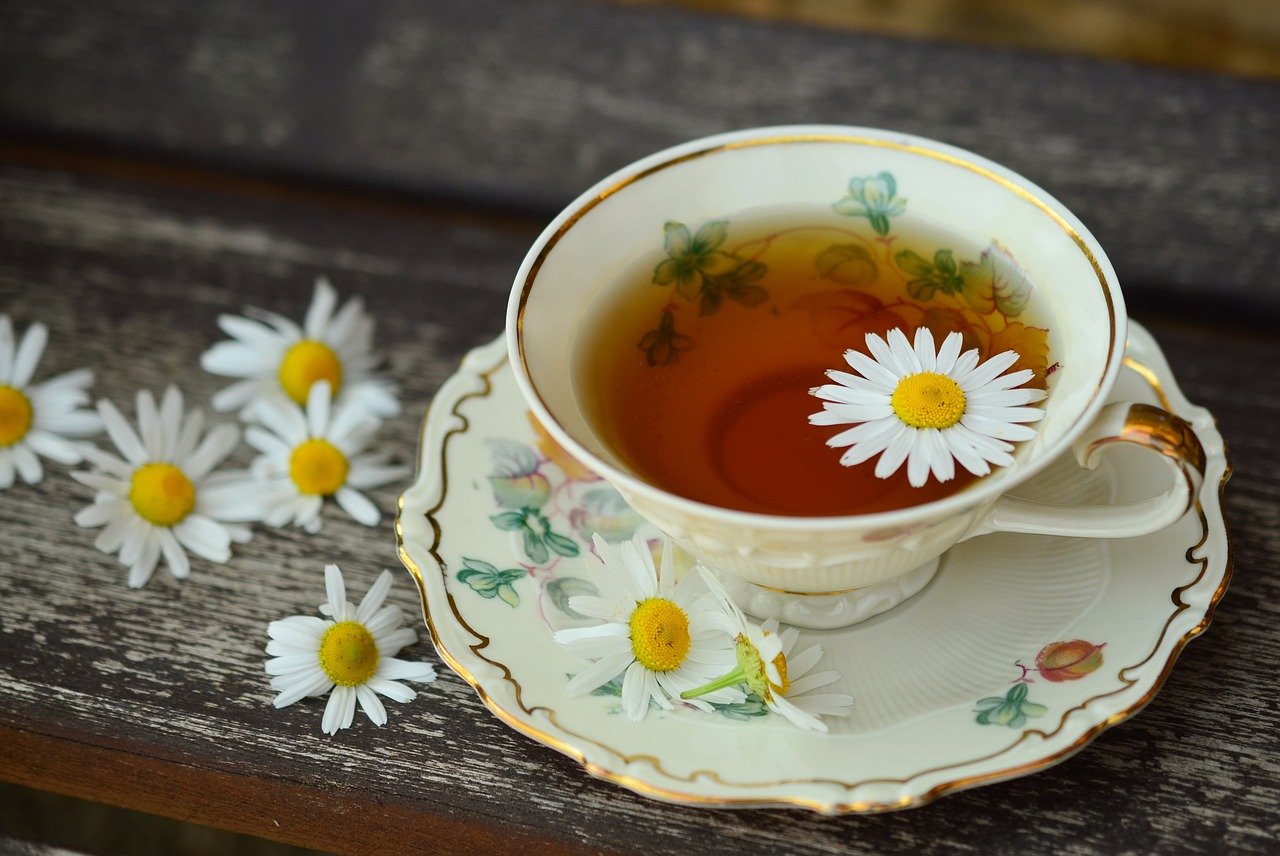 chamomile herb tea cup