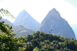 gros piton