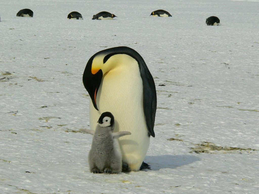Happy Mother’s Day